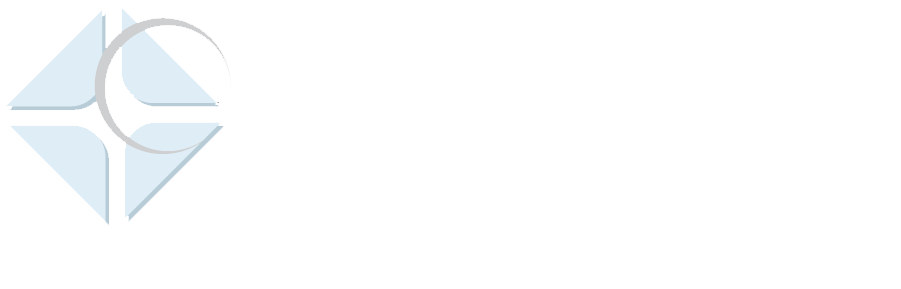 logo_dvvs.png